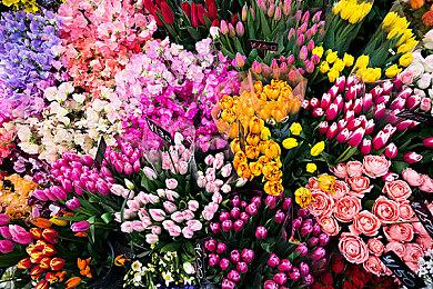 《女神异闻录4 重制版》已上架Xbox商店 可4K+光追！